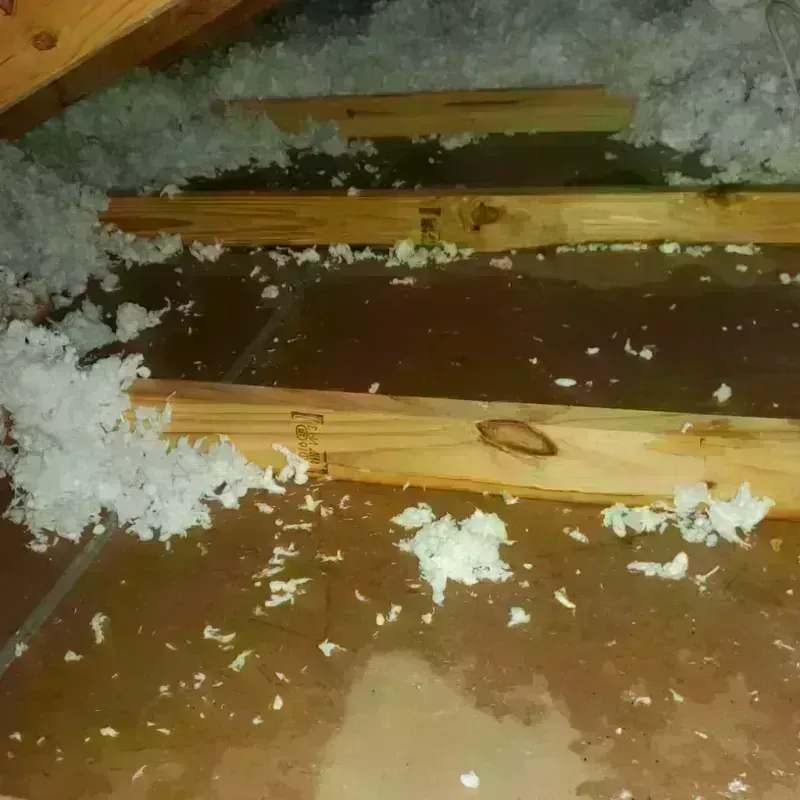 Attic Water Damage in Lucama, NC